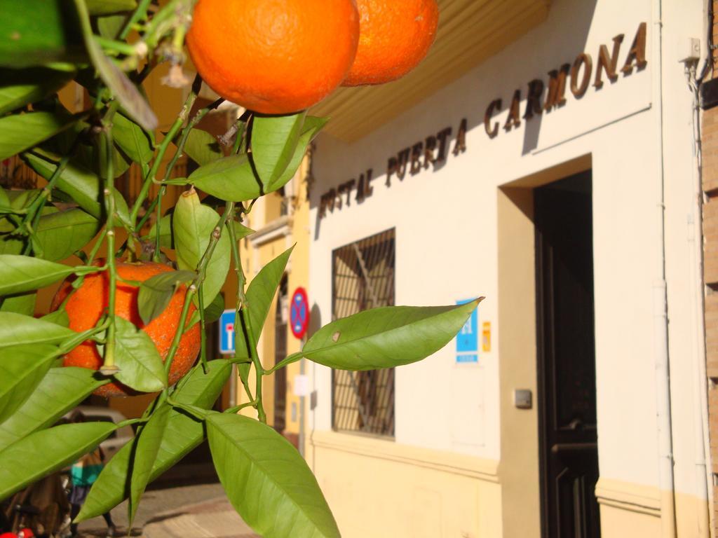 Hotel Hostal Puerta Carmona Sevilla Exterior foto