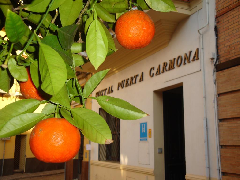 Hotel Hostal Puerta Carmona Sevilla Exterior foto